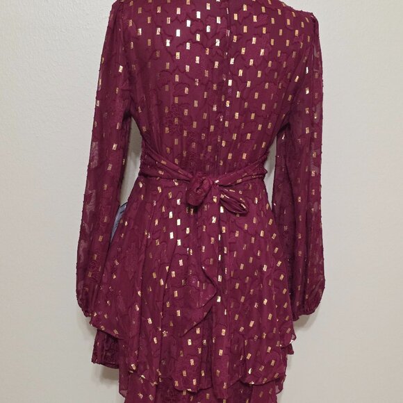 Darlin Wine & Gold Metallic Chiffon Dress – Size 9/10 – NWT - Picture 4 of 7